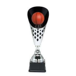 Basketbal trofee ST 101