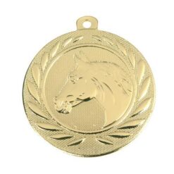 Paardensport medaille DI5000 U 01