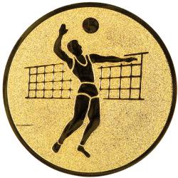 Volleybal mannen (A2.019.01)