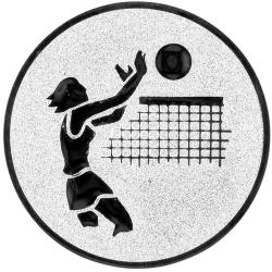 Volleybal vrouwen (A1.020.02)