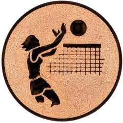 Volleybal vrouwen (A1.020.26)