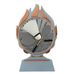 Budget prijs badminton Q120_03-FG014