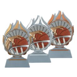 Budget prijs basketbal