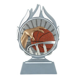 Budget prijs basketbal Q120_02-FG025