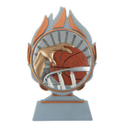 Budget prijs basketbal Q120_03-FG025