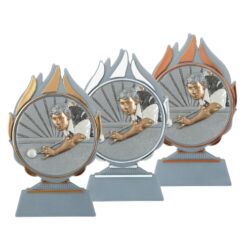 Budget prijs biljart