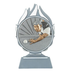 Budget prijs biljart Q120_02-FG021