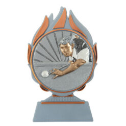 Budget prijs biljart Q120_03-FG021