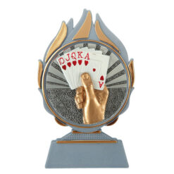 Budget prijs bridge Q120_01-FG060