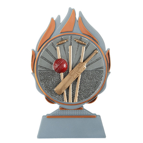 Budget prijs cricket Q120_03-FG019