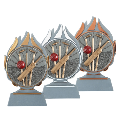 Budget prijs cricket