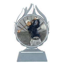 Budget prijs golf Q120_02-FG022