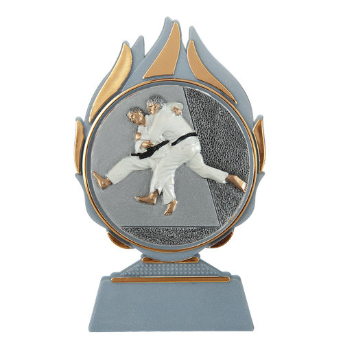 Budget prijs judo Q120_01-FG004