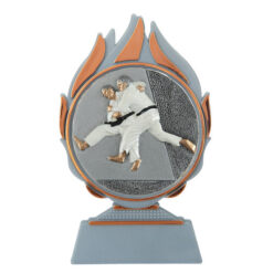 Budget prijs judo Q120_03-FG004