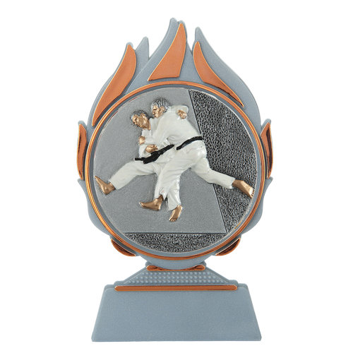 Budget prijs judo Q120_03-FG004