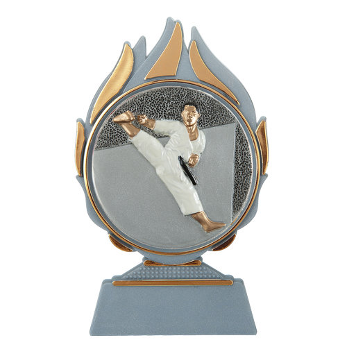 Budget prijs karate Q120_01-FG005