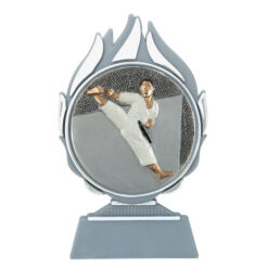 Budget prijs karate Q120_02-FG005