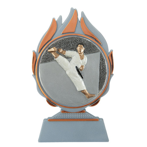 Budget prijs karate Q120_03-FG005