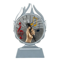 Budget prijs muziek Q120_02-FG023