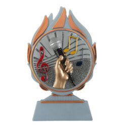 Budget prijs muziek Q120_03-FG023