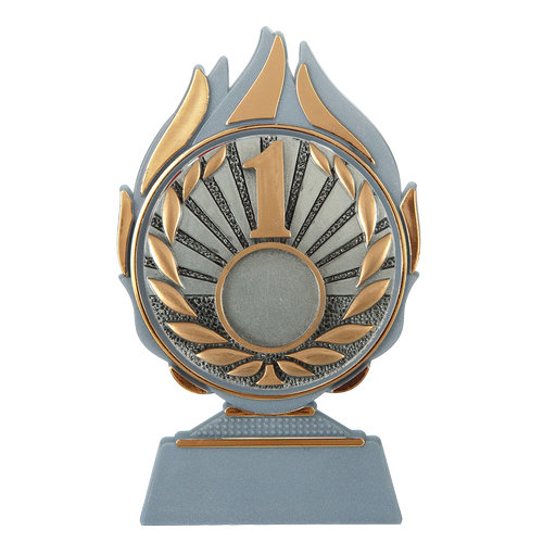 Budget prijs nummer 1 Q120_01-FG046