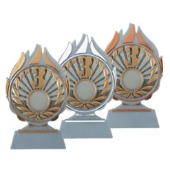 Budget prijs nummer 3