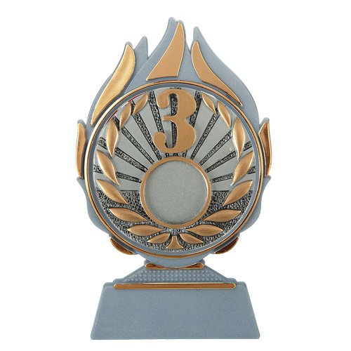 Budget prijs nummer 3 Q120_01-FG048