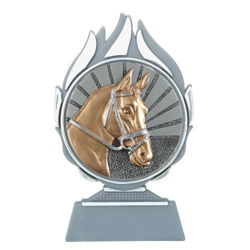 Budget prijs paardensport Q120_02-FG009