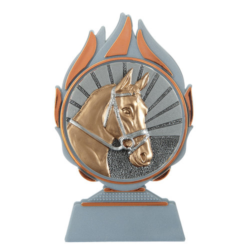 Budget prijs paardensport Q120_03-FG009