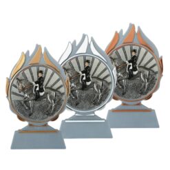 Budget prijs paardensport dressuur