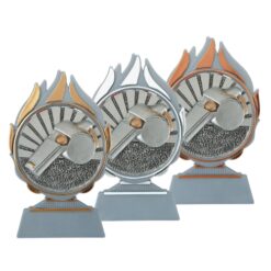 Budget prijs scheidsrechter