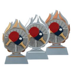 Budget prijs tafeltennis