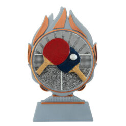 Budget prijs tafeltennis Q120_03-FG015