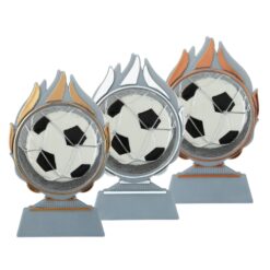 Budget prijs voetbal