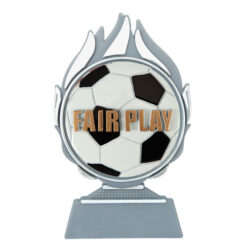 Budget prijs voetbal 'fair play' Q120_02-FG045