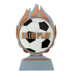 Budget prijs voetbal 'fair play' Q120_03-FG045