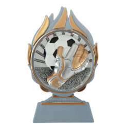 Budget prijs voetbal keeper Q120_01-FG076