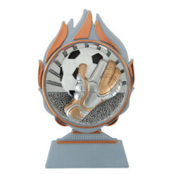 Budget prijs voetbal keeper Q120_03-FG076