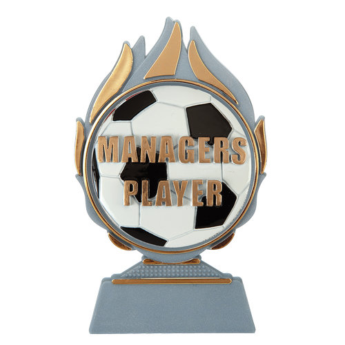 Budget prijs voetbal 'managers player' Q120_01-FG043