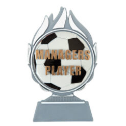 Budget prijs voetbal 'managers player' Q120_02-FG043