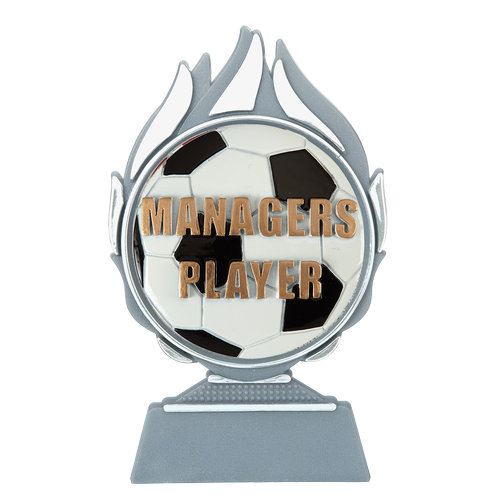 Budget prijs voetbal 'managers player' Q120_02-FG043