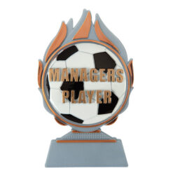 Budget prijs voetbal 'managers player' Q120_03-FG043