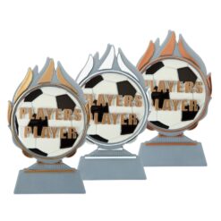 Budget prijs voetbal 'players player'