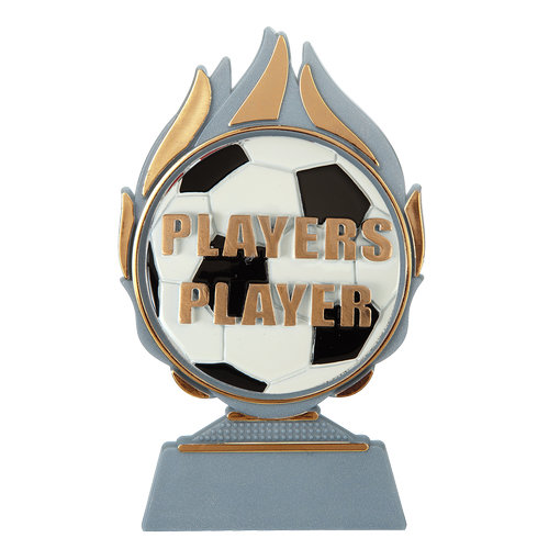 Budget prijs voetbal 'players player' Q120_01-FG044