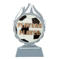 Budget prijs voetbal 'players player' Q120_02-FG044