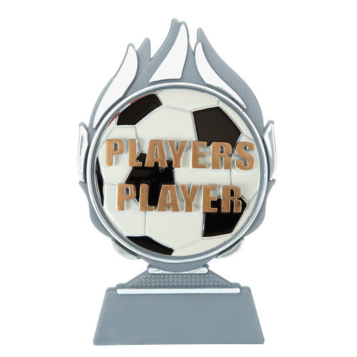 Budget prijs voetbal 'players player' Q120_02-FG044