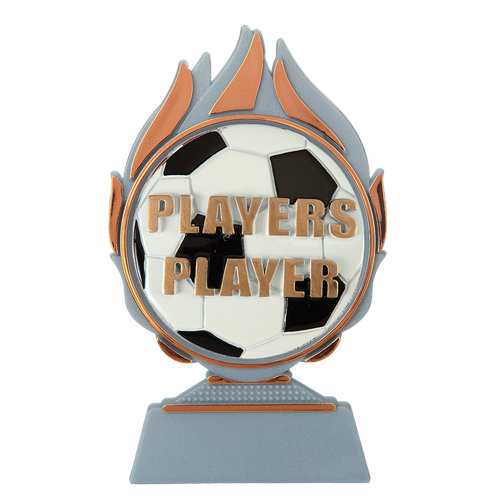 Budget prijs voetbal 'players player' Q120_03-FG044