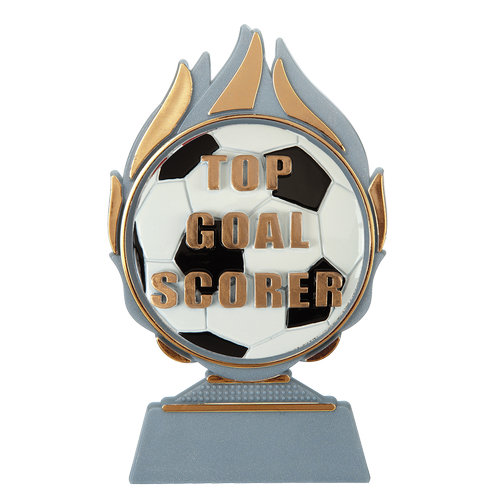 Budget prijs voetbal 'top goal scorer' Q120_01-FG041