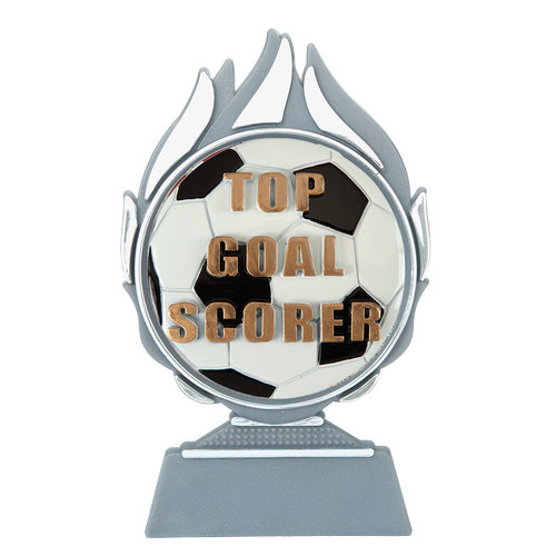 Budget prijs voetbal 'top goal scorer' Q120_02-FG041