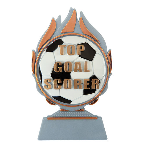 Budget prijs voetbal 'top goal scorer' Q120_03-FG041